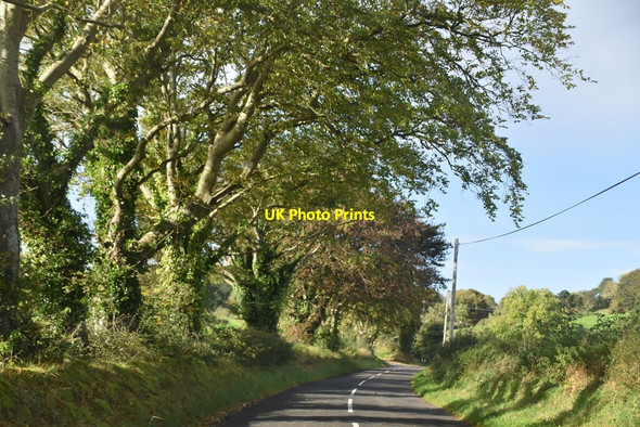 Photo 6"x4" Layde Rd Cushendall c2021 P2
