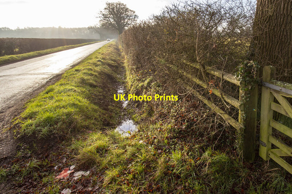 Photo 6"x4" Gospel Ash Road Gospel Ash c2022