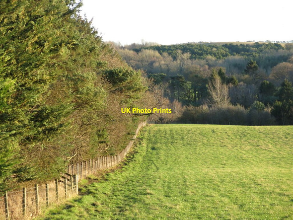 Photo 6"x4" Farmland and woodland in the valley of the Erring Burn Bingfield c2022
