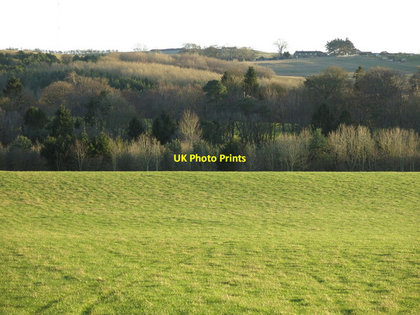 Photo 6"x4" The valley of the Erring Burn below Bingfield Bingfield c2022