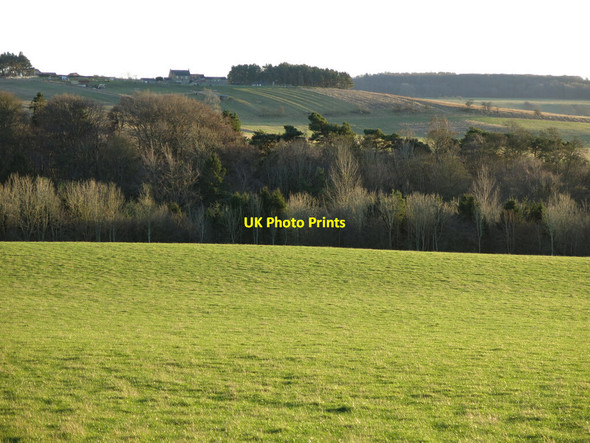 Photo 6"x4" The valley of the Erring Burn below Bingfield (2) Bingfield c2022