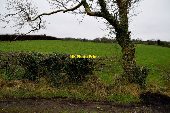 Photo 6"x4" Rosnamuck Townland Mountjoy\/H4277 c2022