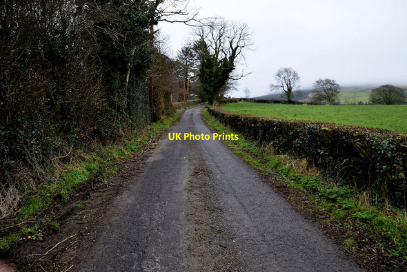 Photo 6"x4" Glengawna Road, Rosnamuck Mountjoy\/H4277 c2022