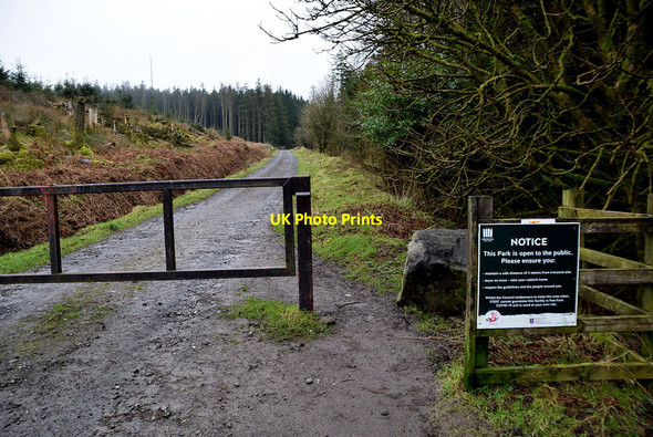 Photo 6"x4" Forest entrance road, Glengawna Mountjoy\/H4277 c2022