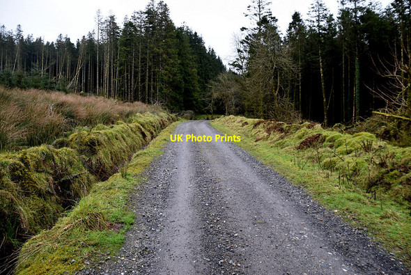 Photo 6"x4" Glengawna Foreat Mountjoy\/H4277 c2022