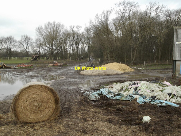 Photo 6"x4" Footpath through a yard Drax c2022
