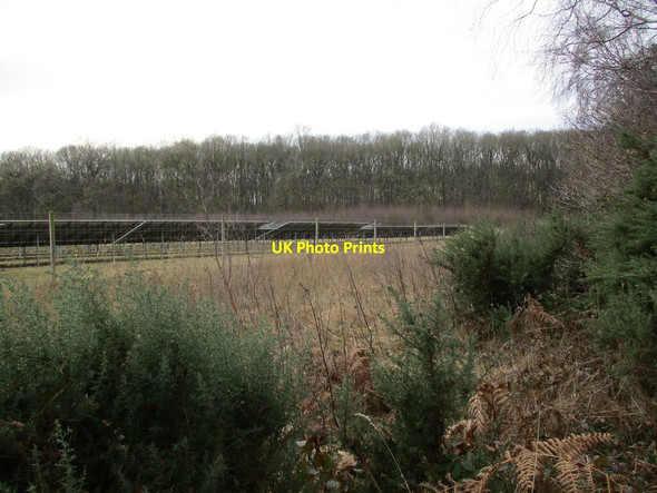 Photo 6"x4" Solar Farm, Budby North Forest Budby c2022