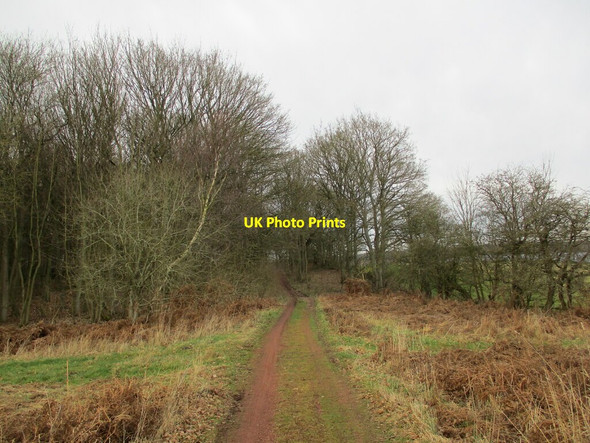 Photo 6"x4" Byway to Corunna Lodge Budby c2022
