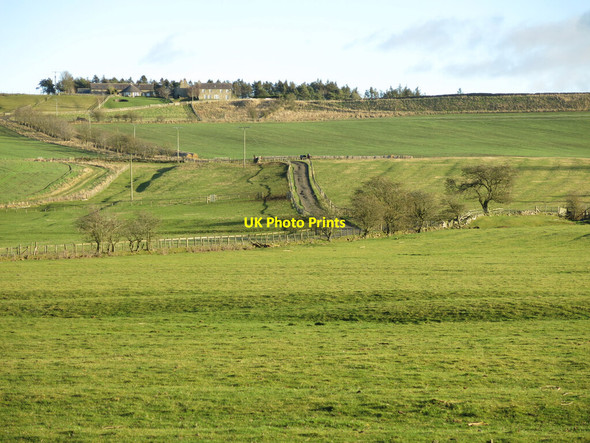 Photo 6"x4" Farmland between Bingfield Combe Farm and Bingfield Paddock Bingfield c2022