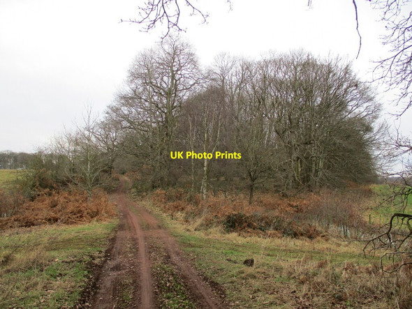 Photo 6"x4" Byway to Corunna Lodge Budby c2022