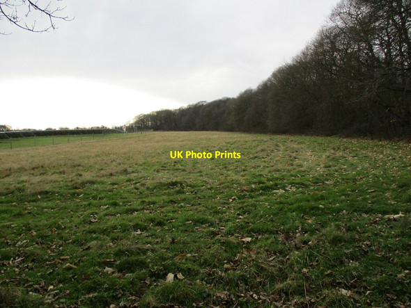 Photo 6"x4" Battarain Plantation and solar farm Budby c2022