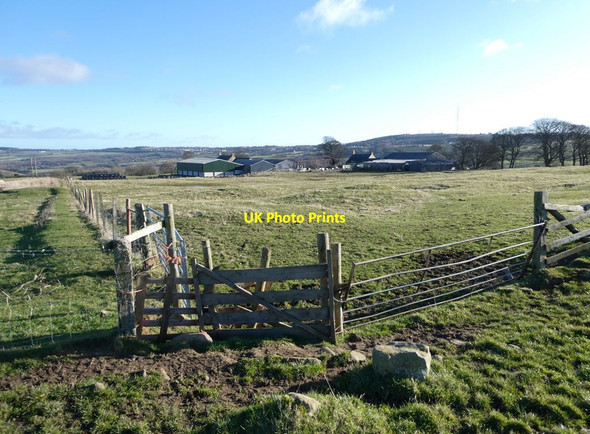 Photo 6"x4" Field by Bradley Hall Den c2022