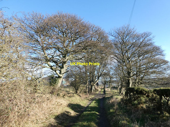 Photo 6"x4" Farm road leading to Bradley Hall Den c2022
