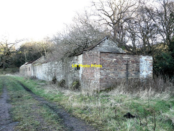 Photo 6"x4" Old huts near Pontop Hall Dipton c2022
