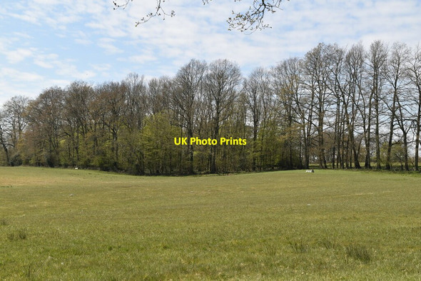 Photo 6"x4" Kiln Wood Furner's Green c2021