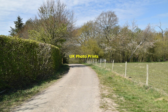 Photo 6"x4" Sussex Border Path Furner's Green c2021