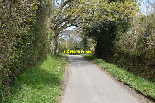 Photo 6"x4" Sussex Border Path Horsted Keynes c2021