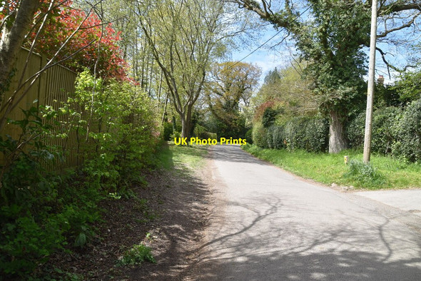 Photo 6"x4" Wyatt Lane Horsted Keynes c2021