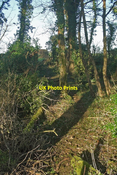 Photo 6"x4" Public footpath in Tythegston\u00e2\u0080\u0099s Long Belt Tythegston c2022
