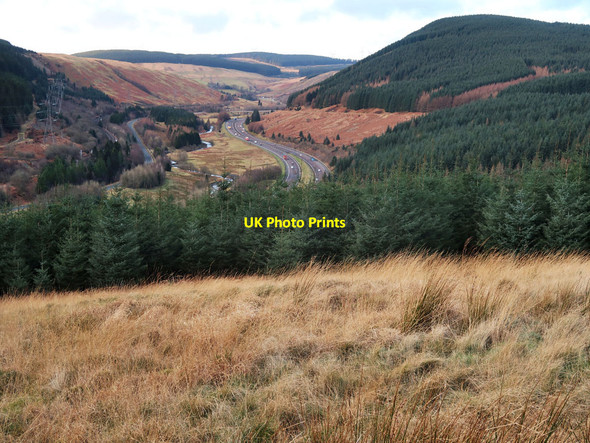 Photo 6"x4" Forest above the Evan Water valley Type Knowes\/NT0409 c2022