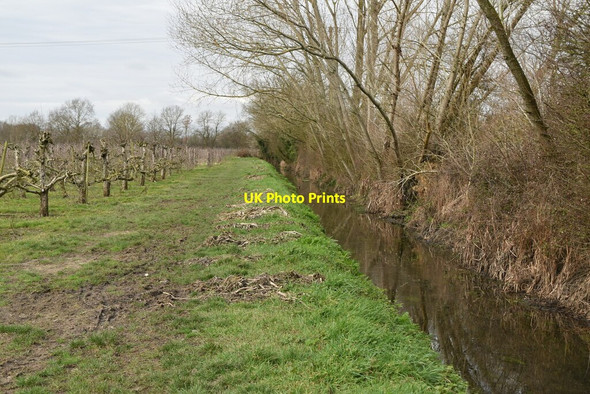 Photo 6"x4" Footpath by drainage ditch Queen Street c2021