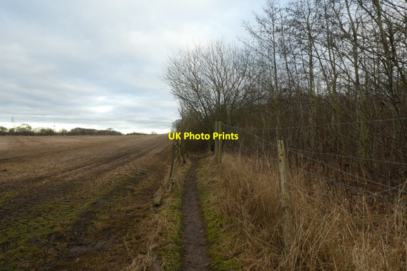 Photo 6"x4" Path to the north of Kimberlow Hill Osbaldwick c2022
