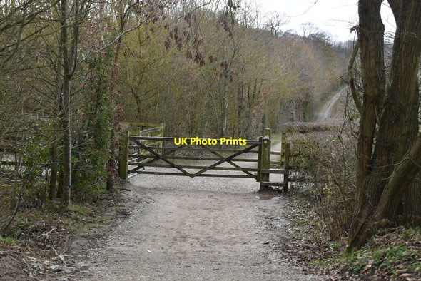 Photo 6"x4" Gate on footpath Ditton\/TQ7157 c2021
