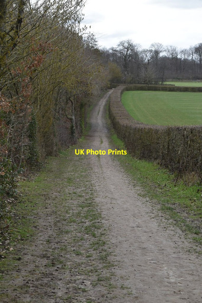 Photo 6"x4" Clear footpath Ditton\/TQ7157 c2021