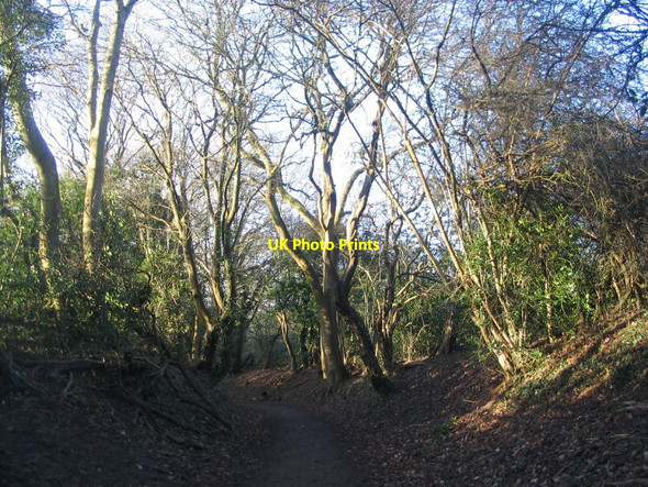 Photo 6"x4" The lane to Canley Ford Coventry c2022