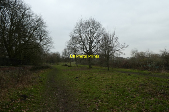 Photo 6"x4" Path on Lamel Hill York\/SE5951 c2022
