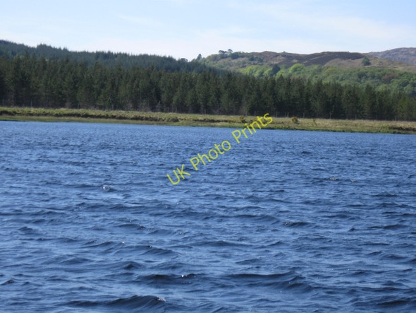 Photo 6"x4" Forestry & Loch Shiel south shore Rubha na h-Eala Moss\/NM6868 c2009