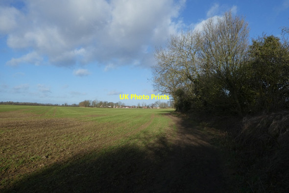 Photo 6"x4" Path along the field edge Acaster Malbis c2022