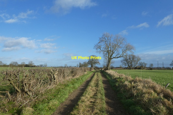 Photo 6"x4" Along Earfit Lane Colton\/SE5444 c2022