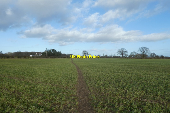 Photo 6"x4" Path east of Colton Colton\/SE5444 c2022