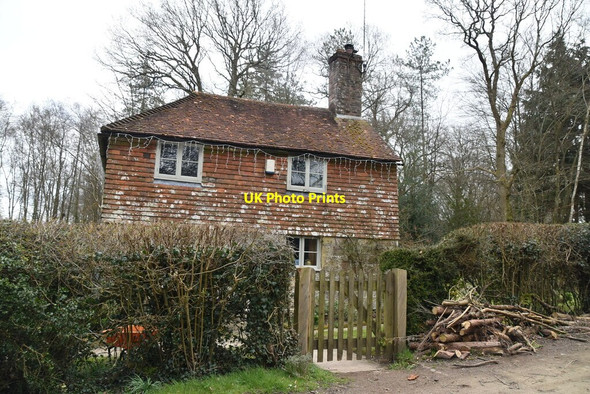Photo 6"x4" Coblye Cottage Cackle Street\/TQ6919 c2021 P1