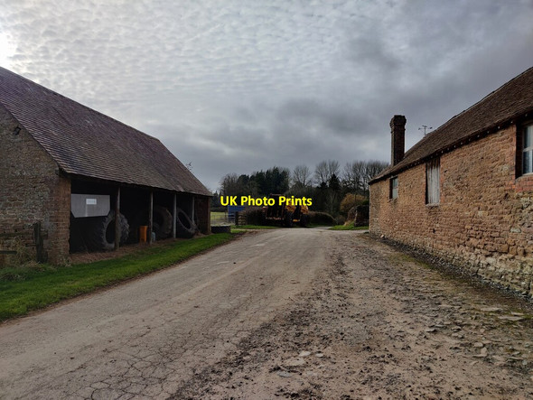 Photo 6"x4" Lane at Wheathill Court Farm Wheathill\/SO6282 c2022