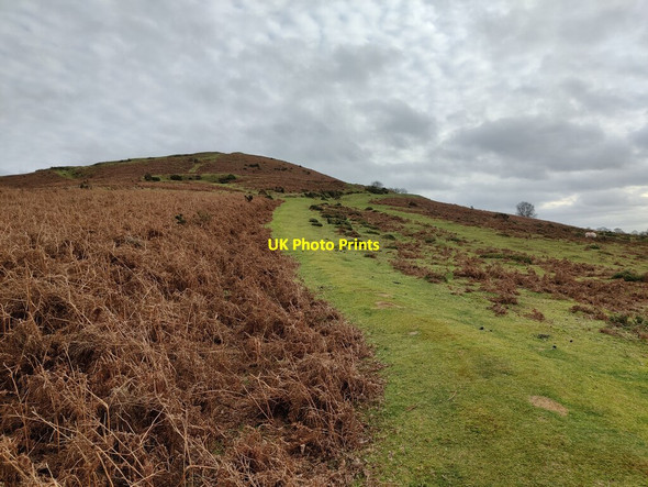 Photo 6"x4" Clee Liberty Common Clee St Margaret c2022