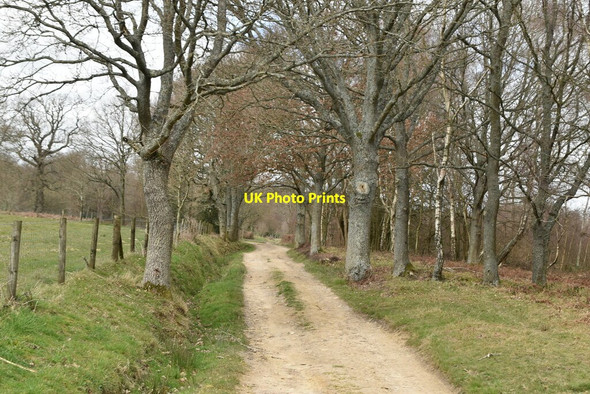 Photo 6"x4" Footpath, Brightling Park Twelve Oaks\/TQ6820 c2021