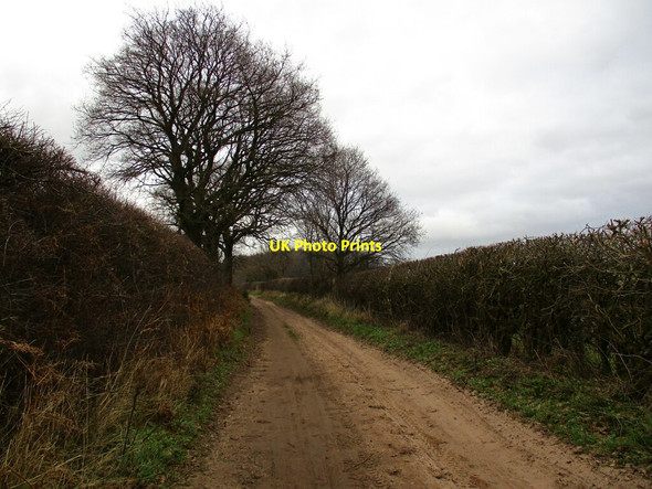 Photo 6"x4" Blakeley Lane Market Warsop c2022
