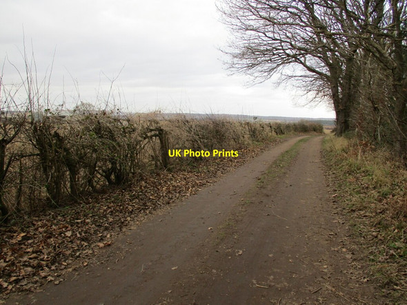 Photo 6"x4" Blakeley Lane Market Warsop c2022 P2