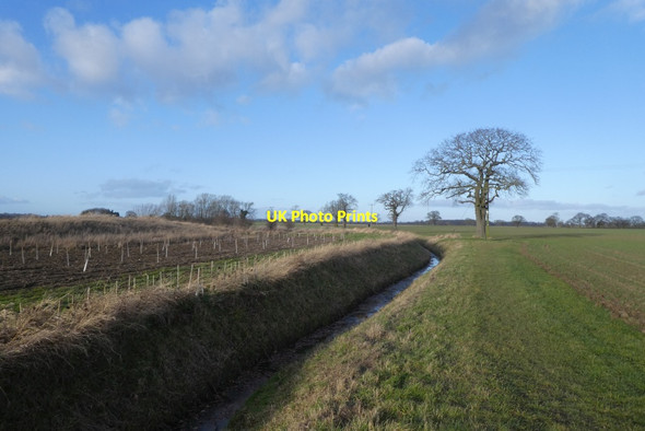 Photo 6"x4" Path towards Stubbins Appleton Roebuck c2022