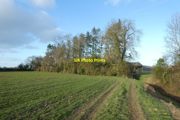 Photo 6"x4" Path near Woolas Hall Farm Appleton Roebuck c2022