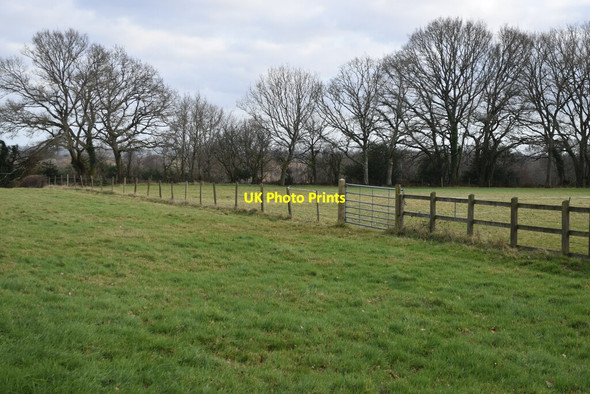 Photo 6"x4" Fields beside Verwood Road Romford\/SU0709 c2022