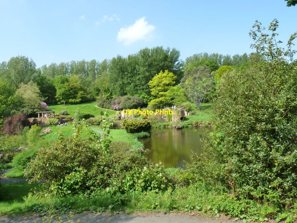 Photo 6"x4" View across the Laund pool to the folly Consall c2014