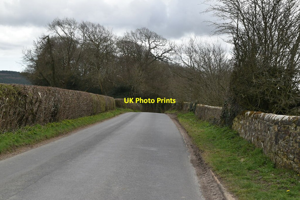 Photo 6"x4" Lane to Twelve Oaks Twelve Oaks\/TQ6820 c2021