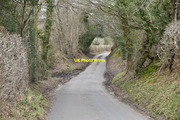 Photo 6"x4" Kent Lane Oxley's Green c2021