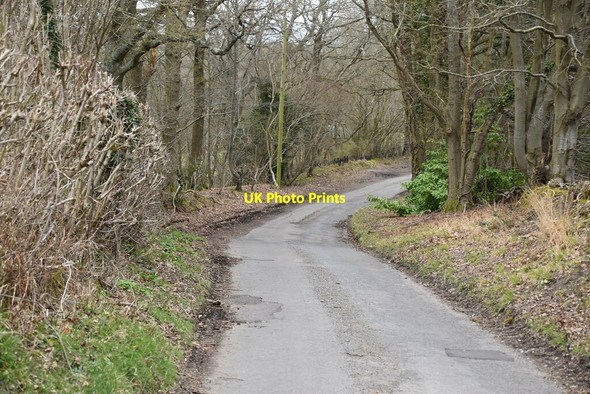 Photo 6"x4" Kent Lane Oxley's Green c2021