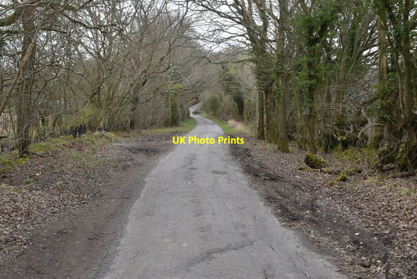 Photo 6"x4" Kent Lane Oxley's Green c2021 P1