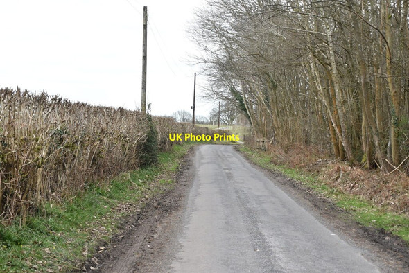 Photo 6"x4" Kent Lane Oxley's Green c2021 P2