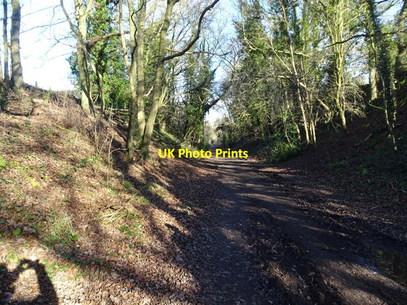 Photo 6"x4" Railway View Castlecroft c2022
